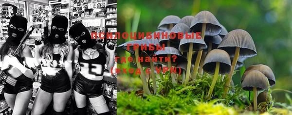 гашик Нефтегорск