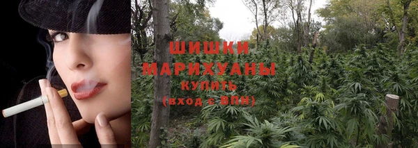 2c-b Надым