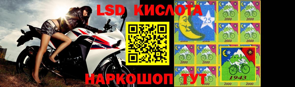 Псилоцибиновые грибы Кулебаки