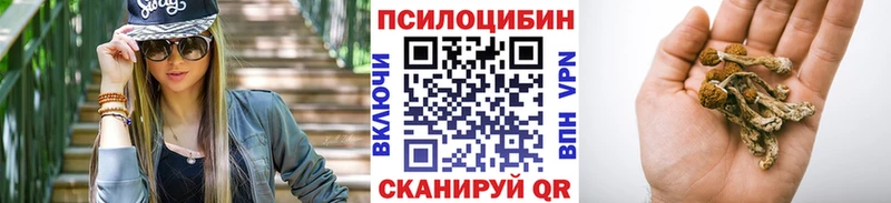 купить наркотики сайты  Кулебаки  Псилоцибиновые грибы Psilocybe 