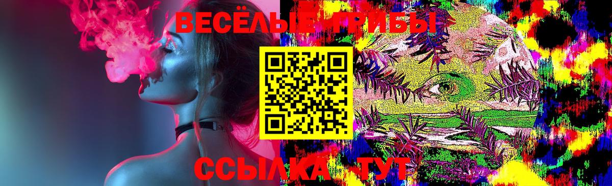 Кулебаки  Псилоцибиновые грибы MAGIC MUSHROOMS  купить наркоту  Вход с VPN  Галлюциногенные грибы прущие грибы 