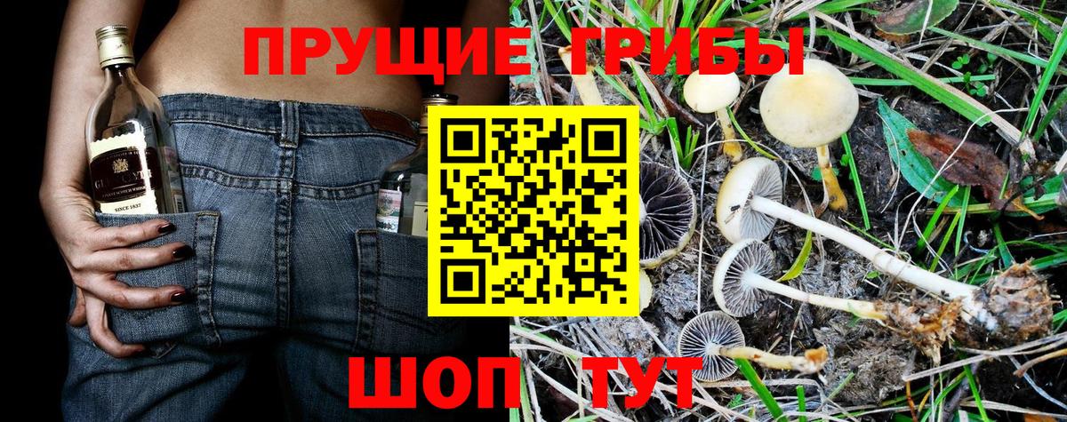 Псилоцибиновые грибы мухоморы Кулебаки